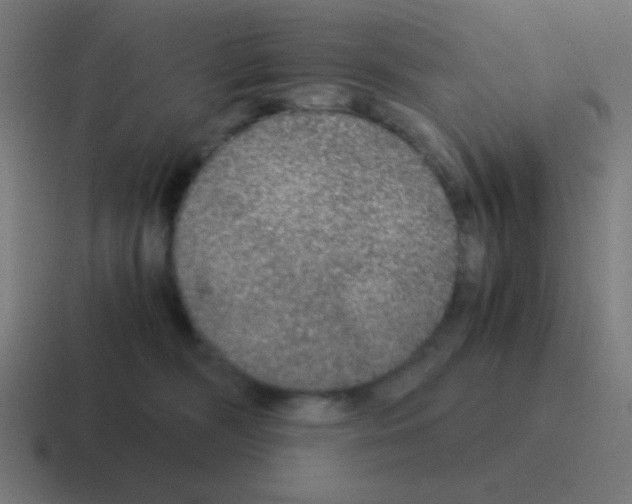 X0000116000326200912312119