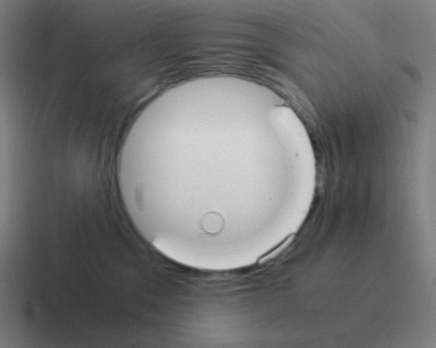X0000116000329200912312119