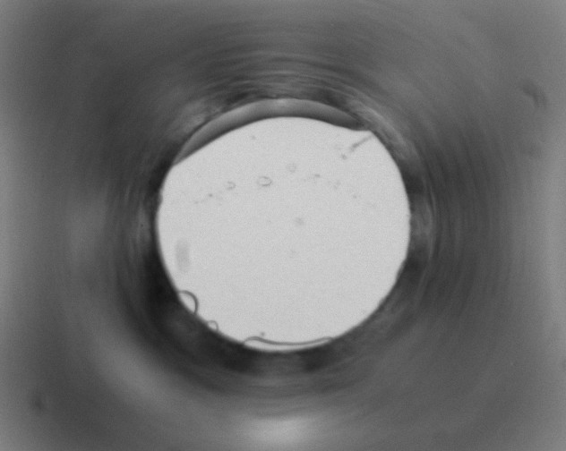 X0000116000333200912312119