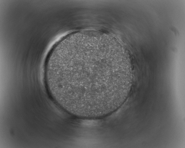 X0000116000342200912312118