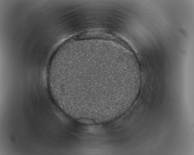 X0000116000345200912312118