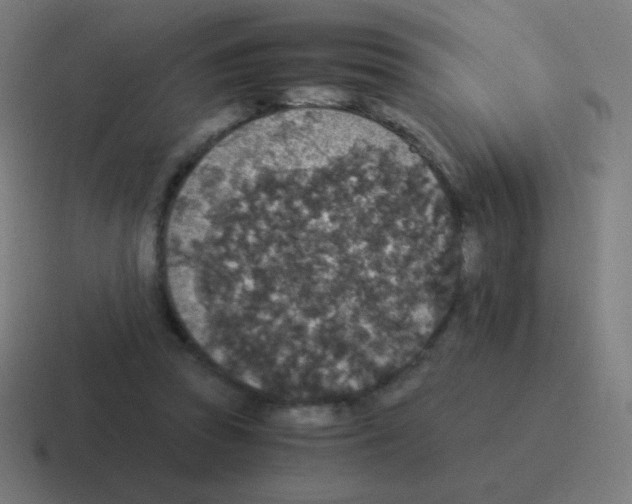 X0000116000353200912312118