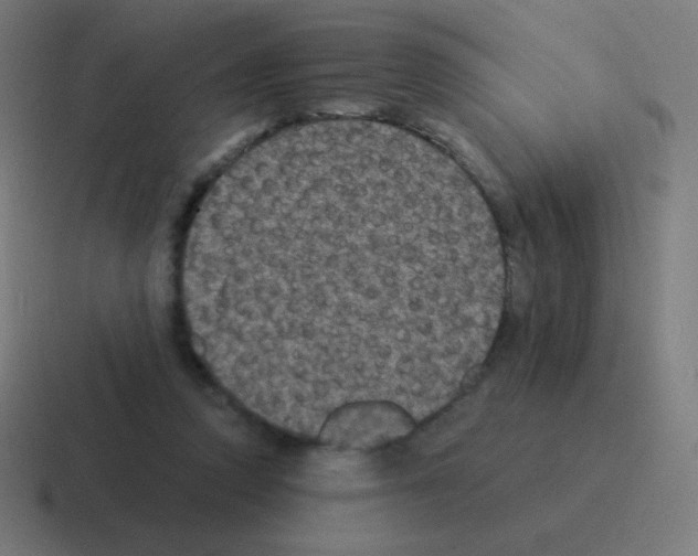 X0000116000354200912312118