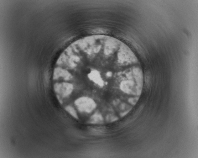X0000116000359200912312118