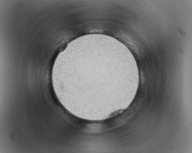 X0000116000362200912312118