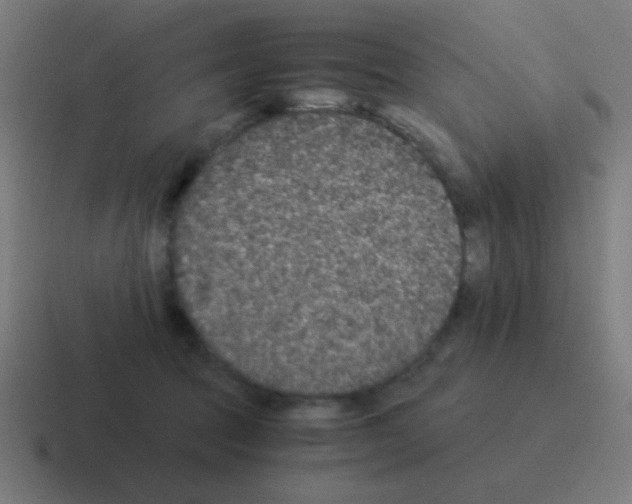 X0000116000369200912312119