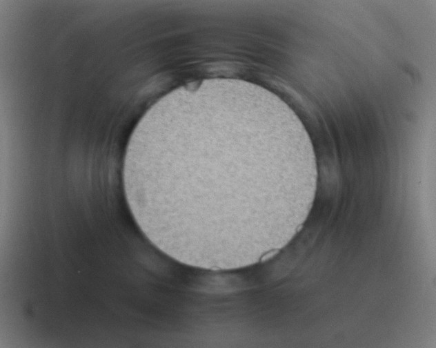 X0000116000379200912312119