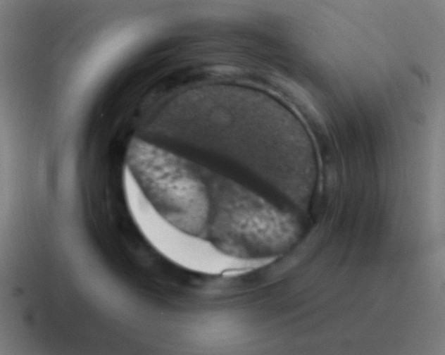 X0000116000382200912312119