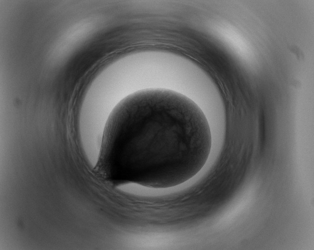 X0000116000387200912312118