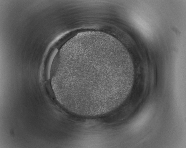 X0000116000388200912312118