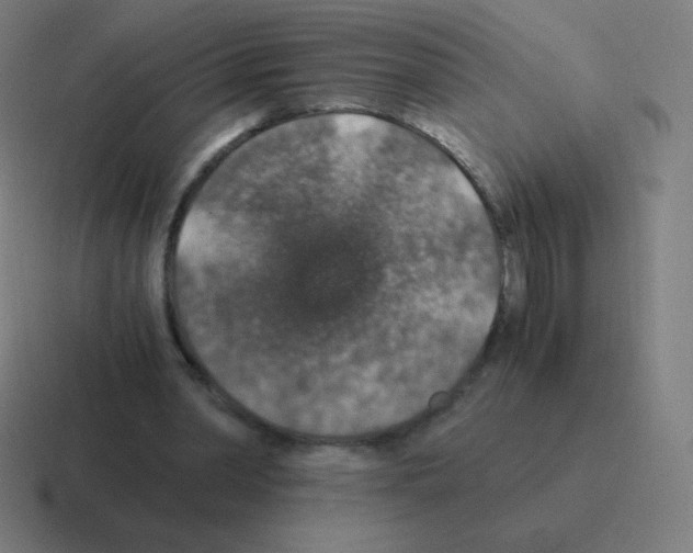 X0000116000390200912312118