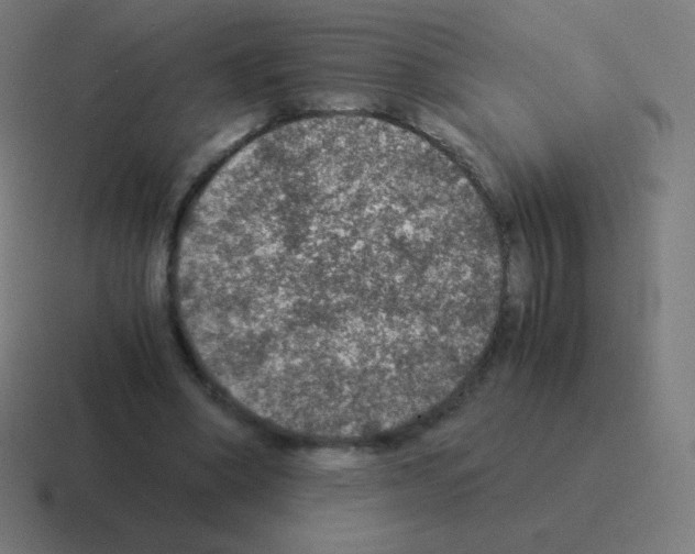 X0000116000394200912312118