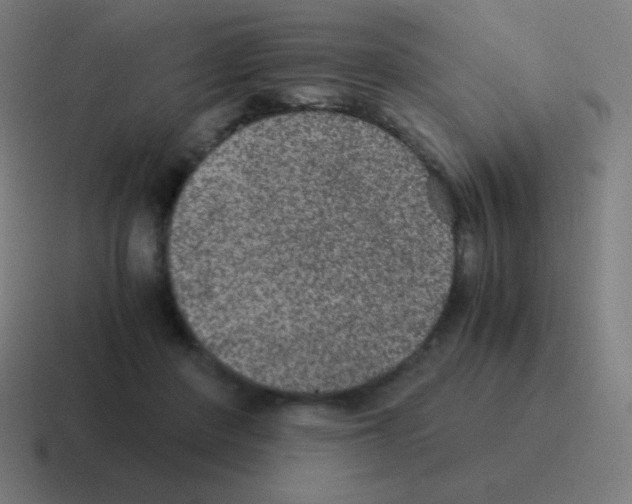 X0000116000408200912312118