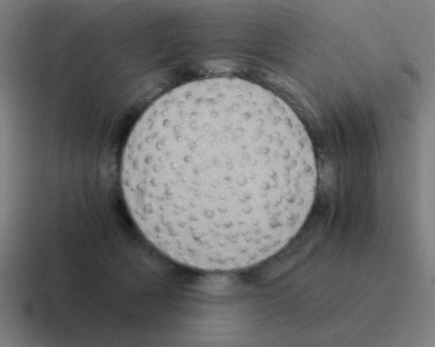 X0000116000418200912312118