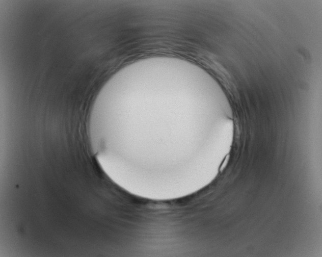 X0000116000419200912312118
