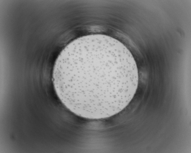 X0000116000422200912312118