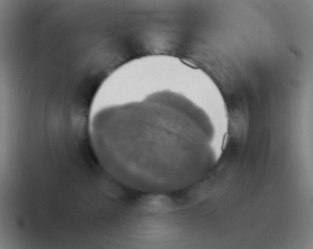 X0000116000427200912312118