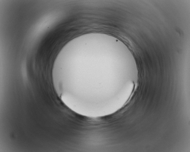X0000116000429200912312118
