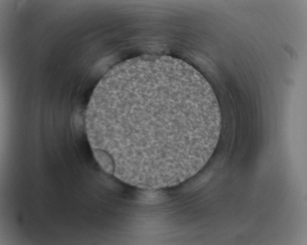 X0000116000432200912312118
