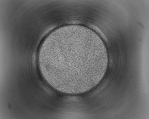 X0000116000439200912312117