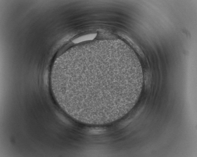 X0000116000445200912312117