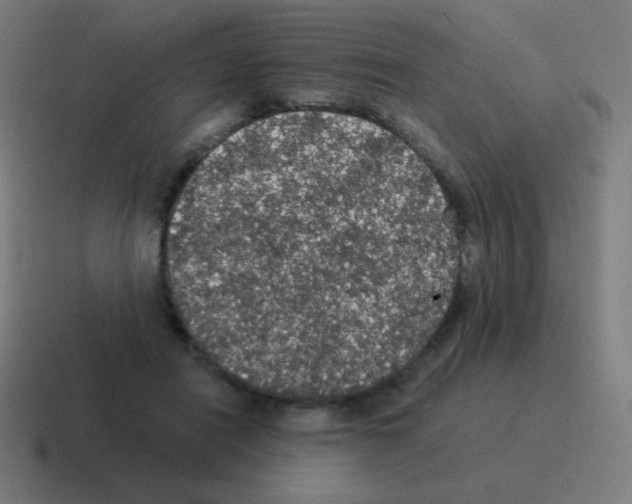 X0000116000454200912312117