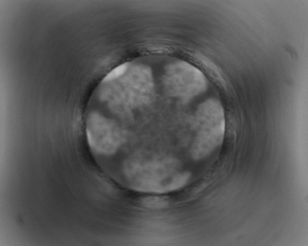 X0000116000465200912312117
