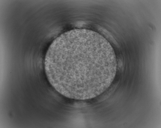 X0000116000470200912312117