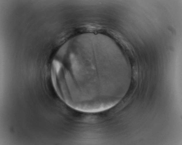 X0000116000471200912312117