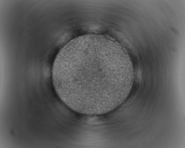 X0000116000472200912312117