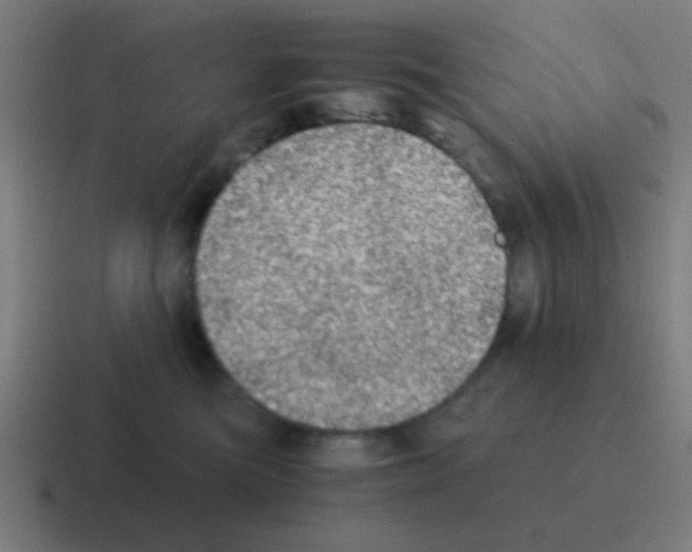 X0000116000473200912312117