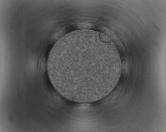 X0000116000474200912312117