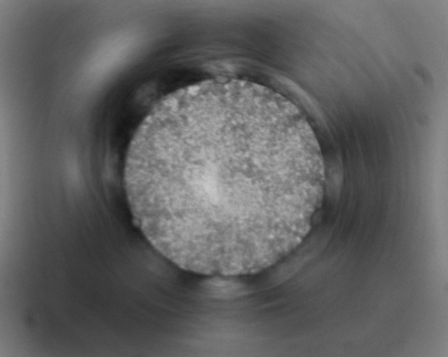 X0000116000477200912312118