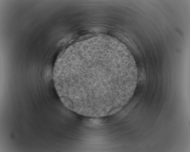 X0000116000478200912312118