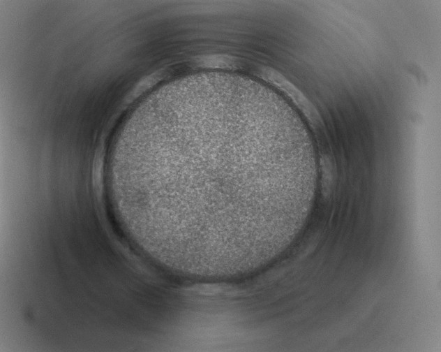 X0000116000482200912312117