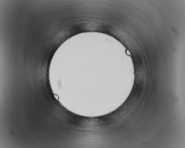 X0000116000497200912312117