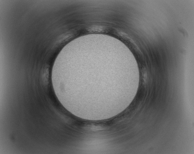 X0000116000498200912312117