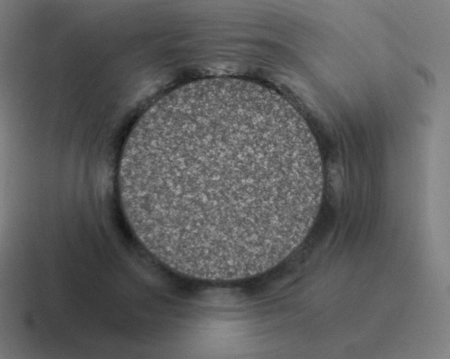 X0000116000499200912312117