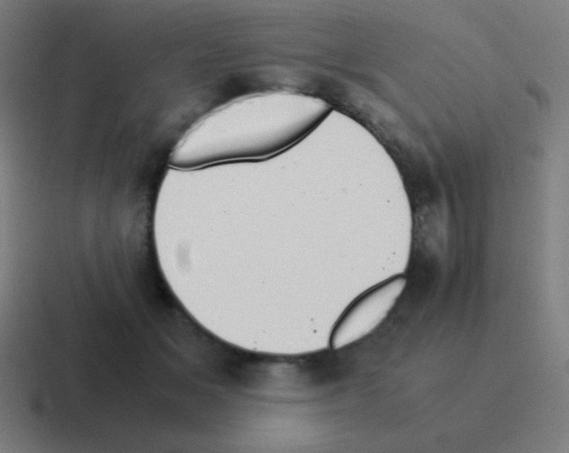 X0000116000509200912312117