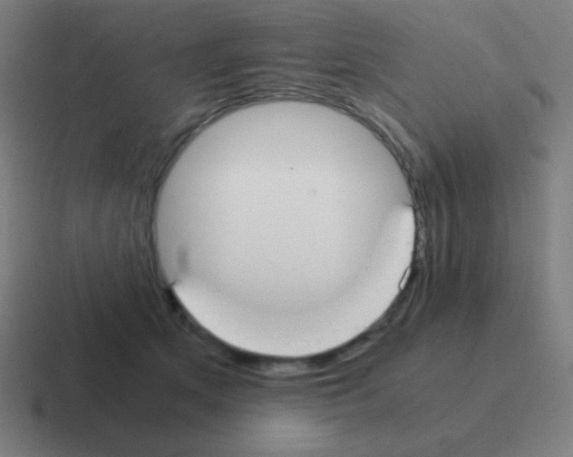 X0000116000513200912312117