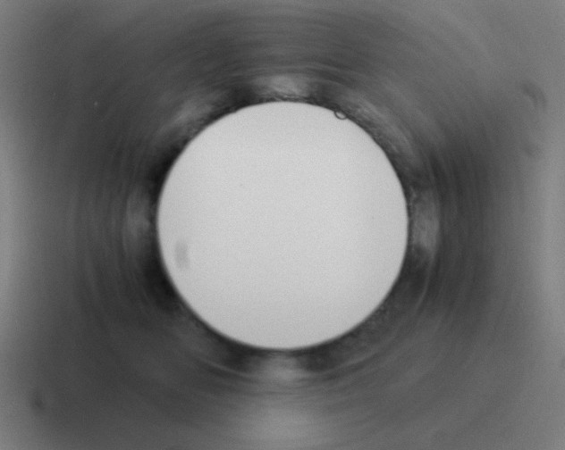 X0000116000518200912312116