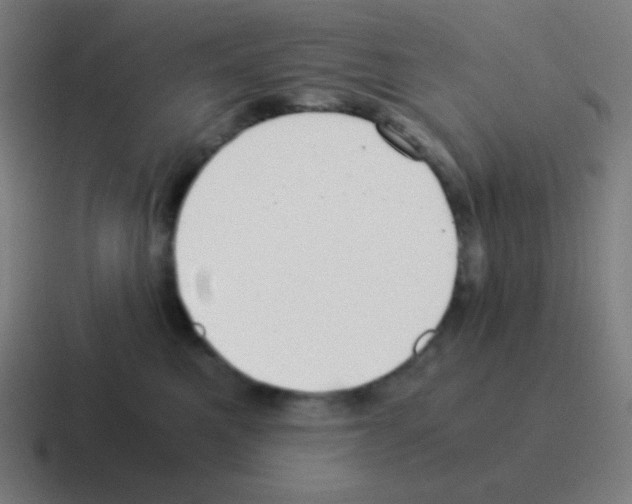 X0000116000521200912312116