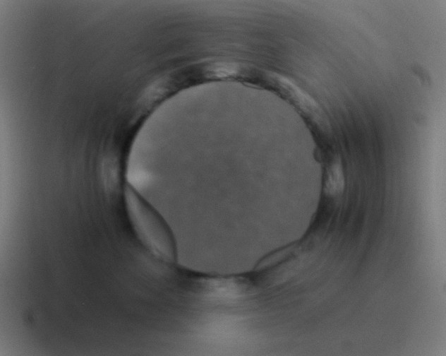 X0000116000524200912312116