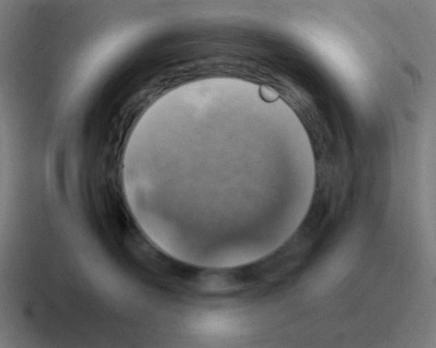 X0000116000526200912312116