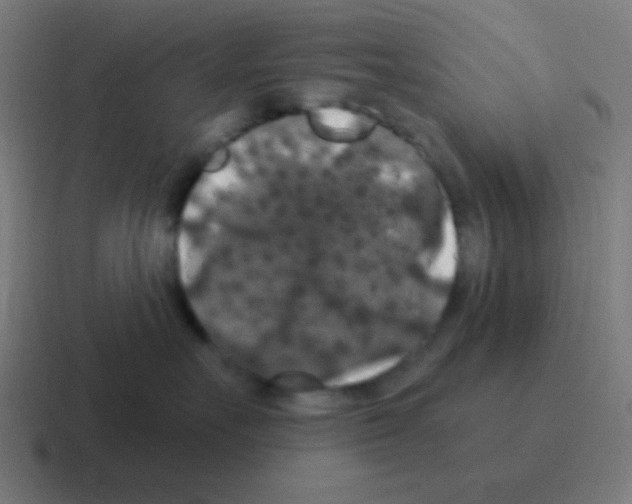 X0000116000527200912312116