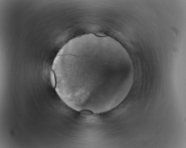 X0000116000528200912312116
