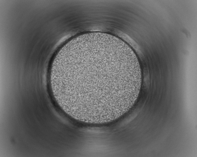 X0000116000530200912312116