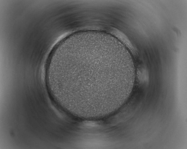 X0000116000534200912312116
