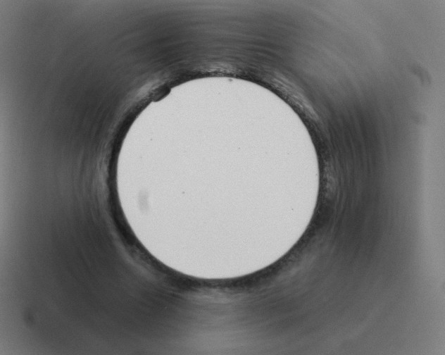 X0000116000538200912312116