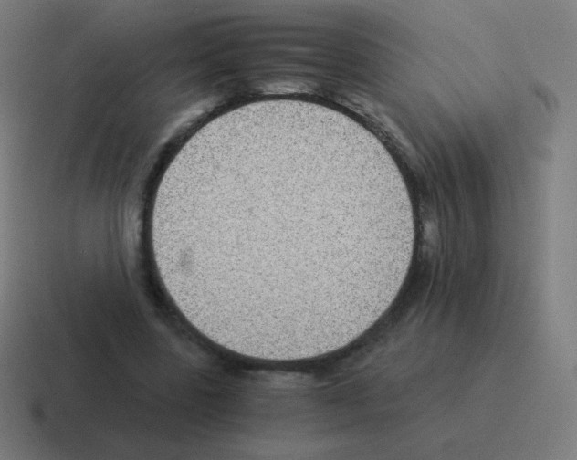 X0000116000539200912312116